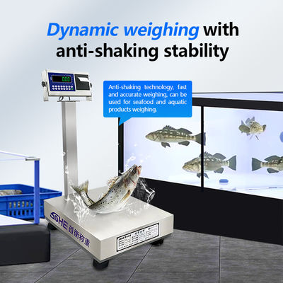 Scale in acciaio inossidabile personalizzabili da 200 kg con design impermeabile e funzione di stampa