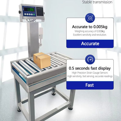 Pesatrice alimentare ad alta precisione 15-500 kg 580*800 mm con trasportatore in acciaio inossidabile