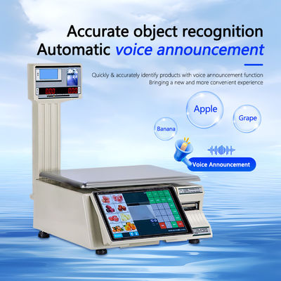 15 kg di etichette touchscreen per la stampa Scala di pesatura con display LCD a LED e tipo di porta 1*RS232