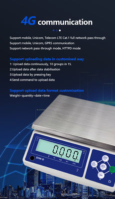 SHWDL-4G 3-30KG Scala di pesatura industriale con display LCD Scala da tavolo ad alta precisione