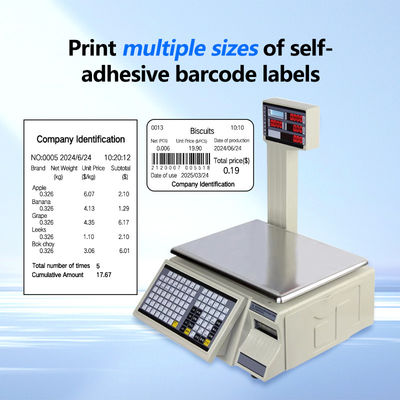 SHW-TMC 30 kg Barcode Scale di stampa con alimentazione AC/DC e gamma massima