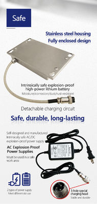 SH8P 304 Serie Acciaio inossidabile 30-300KG Scala a prova di esplosione LED Scala di piattaforma di visualizzazione