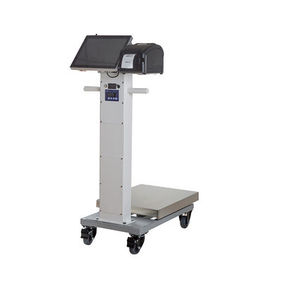 150kg Move Touch Screen Software Funzione di stampa Smart PC Scale con display LCD
