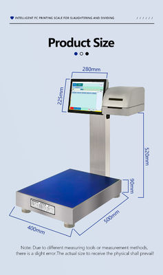 Stampa etichette Scala intelligente completamente impermeabile con schermo intelligente e acciaio inossidabile 304