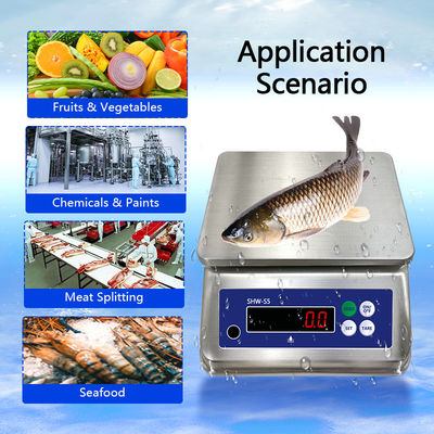 Scala in acciaio inossidabile con doppio display e resistenza all'acqua IP68